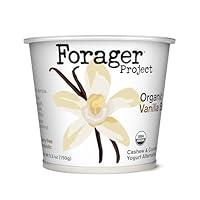 Algopix Similar Product 2 - Forager Project Cashewmilk Yogurt