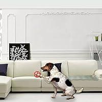 Algopix Similar Product 12 - penobon Pet Training Mat Shock Mats