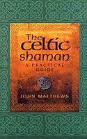 Algopix Similar Product 18 - The Celtic Shaman (Practical Guide)