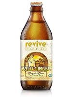 Algopix Similar Product 18 - Revive Kombucha Wild Ginger Kombucha