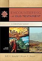 Algopix Similar Product 9 - Encountering the Old Testament A
